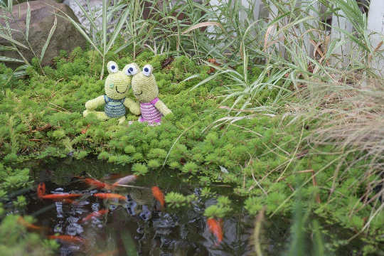 Crochet Frog Rattle - Image 2