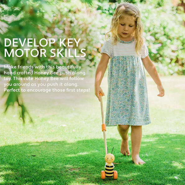 Wooden Push Along Honey Bee - Image 3