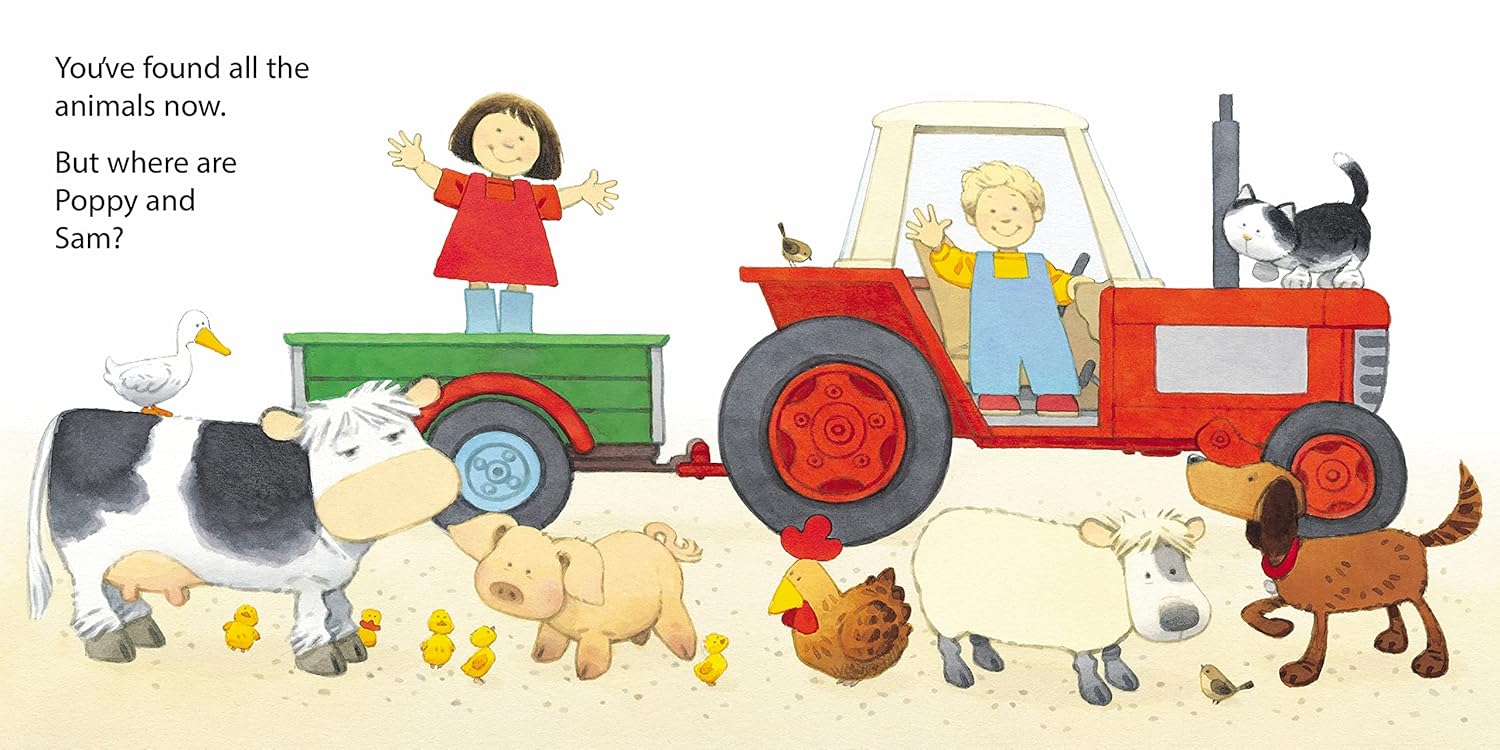 Poppy and Sam's Animal Hide and Seek (Usborne Lift-the-Flap) - Image 4
