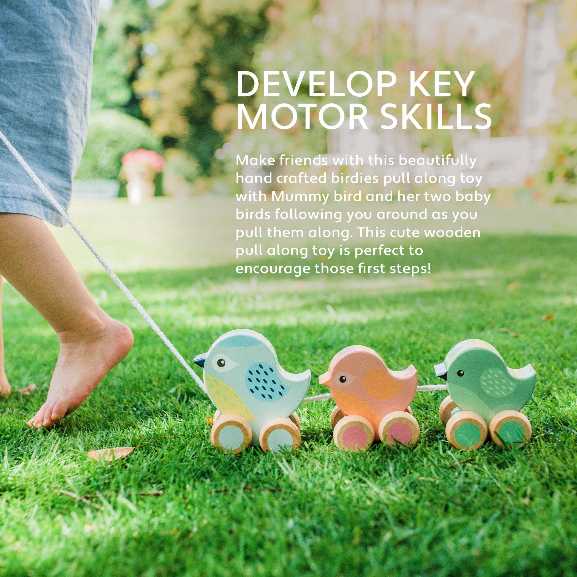 Pull Along Wooden Birdies - Image 3