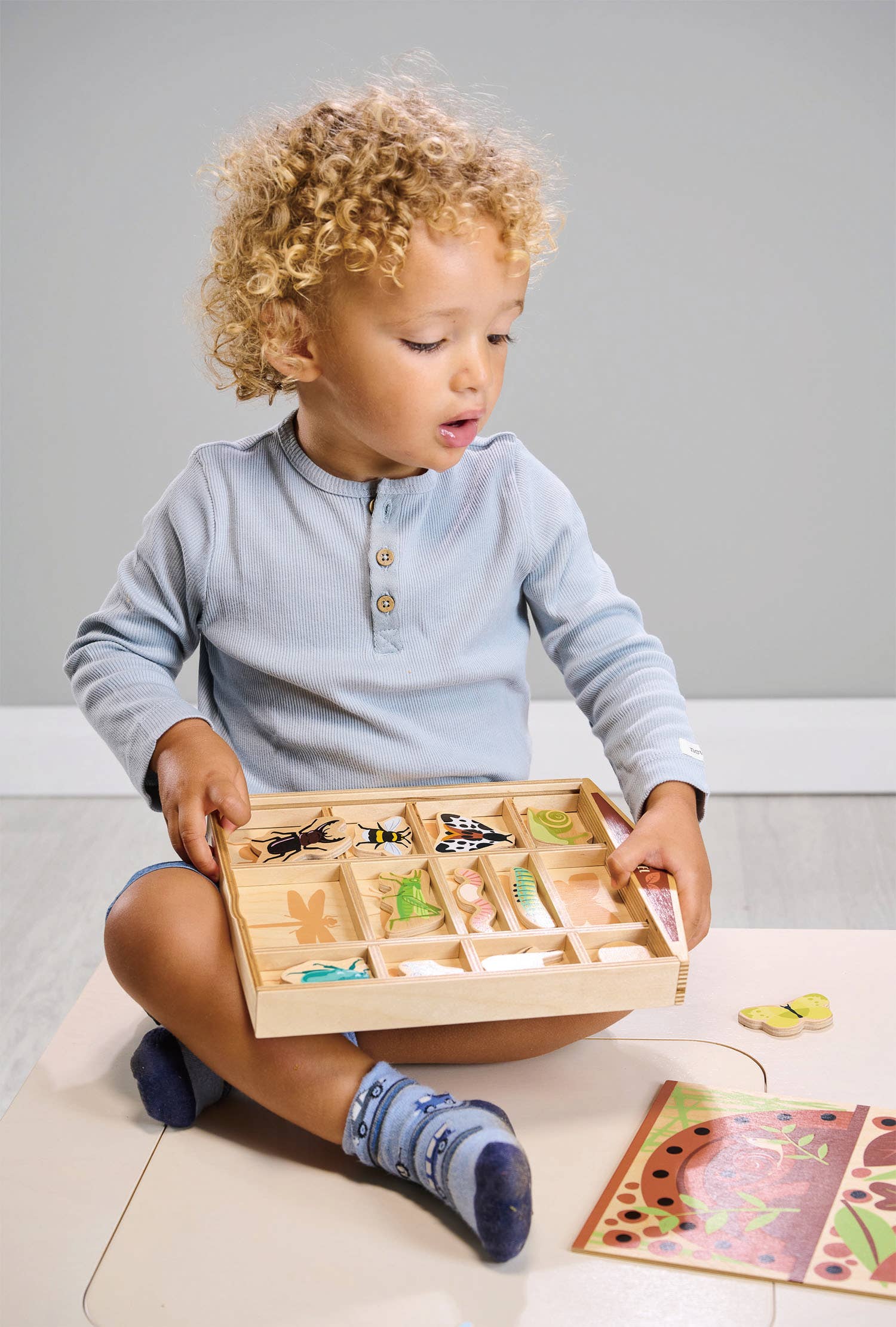 The Bug Hotel - Image 4